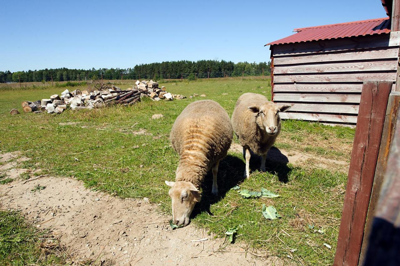 Pokoje Goscinne Mnich Przewloka  Luaran gambar